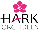 Hark Orchideen